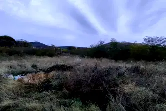 Парцел в Бургас, Банево
