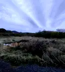 Парцел в Бургас, Банево