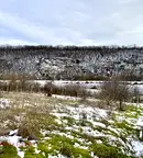Парцел в Русе, Басарбово