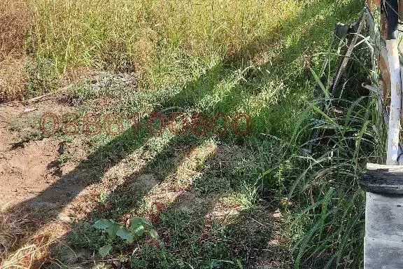 Парцел в Пловдив, Беломорски