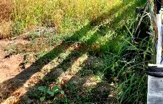 Парцел в Пловдив, Беломорски