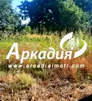 Парцел в Пловдив, Беломорски