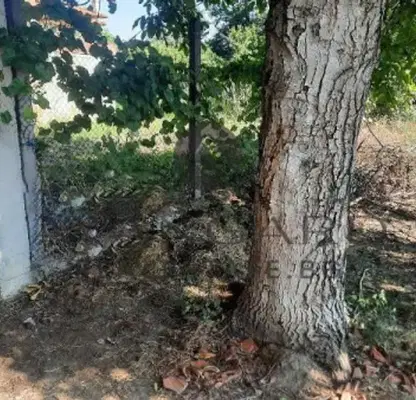 Photo 5 — Plot in Plovdiv, Belomorski