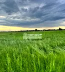 Парцел в Пловдив, Беломорски