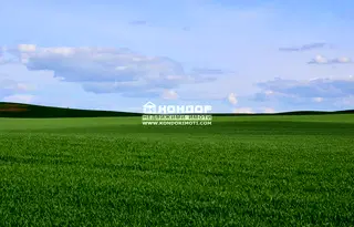 Парцел в Пловдив, Беломорски