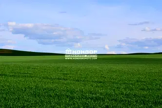Парцел в Пловдив, Беломорски
