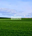 Парцел в Пловдив, Беломорски