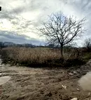 Парцел в Пловдив, Беломорски