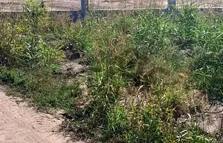 Парцел в Пловдив, Беломорски