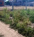 Парцел в Пловдив, Беломорски