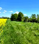 Парцел в София, Бенковски
