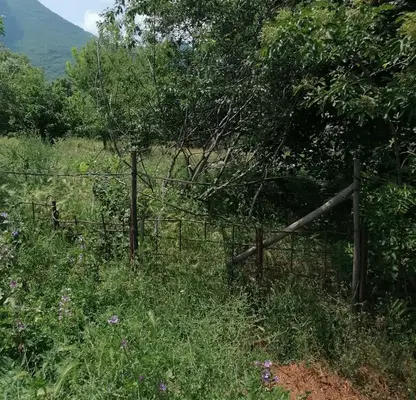 Photo 3 — Plot in Vraca, Bistrec