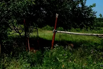 Парцел във Враца, Бистрец