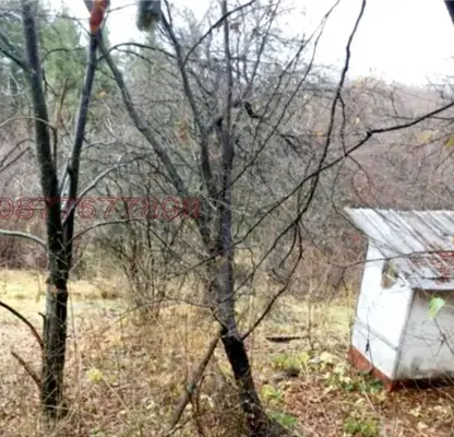 Photo 3 — Plot in Sofiya, Boyana