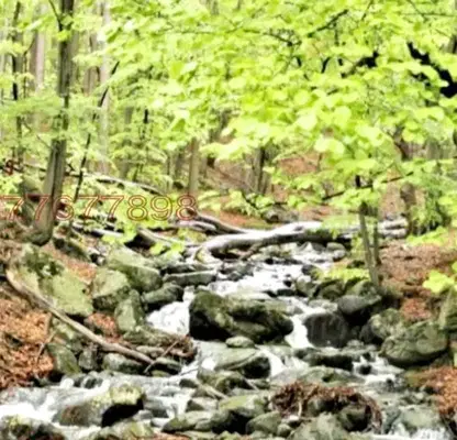 Photo 4 — Plot in Sofiya, Boyana