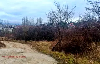 Парцел в София, Бояна