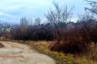 Парцел в София, Бояна