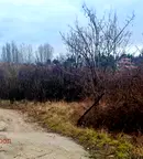 Парцел в София, Бояна