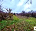 Снимка 4 — Парцел във Велико Търново, Бузлуджа