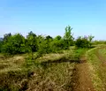 Снимка 2 — Парцел във Велико Търново, Бузлуджа