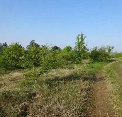Photo 2 — Plot in Veliko Tyrnovo, Buzludja