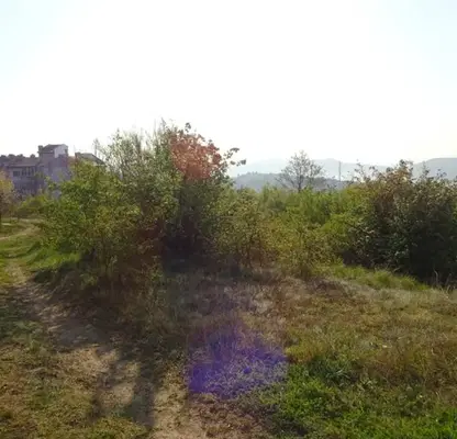 Photo 3 — Plot in Veliko Tyrnovo, Buzludja