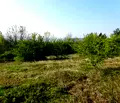 Снимка 4 — Парцел във Велико Търново, Бузлуджа