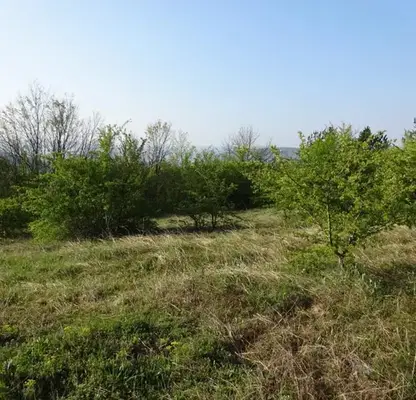 Photo 4 — Plot in Veliko Tyrnovo, Buzludja