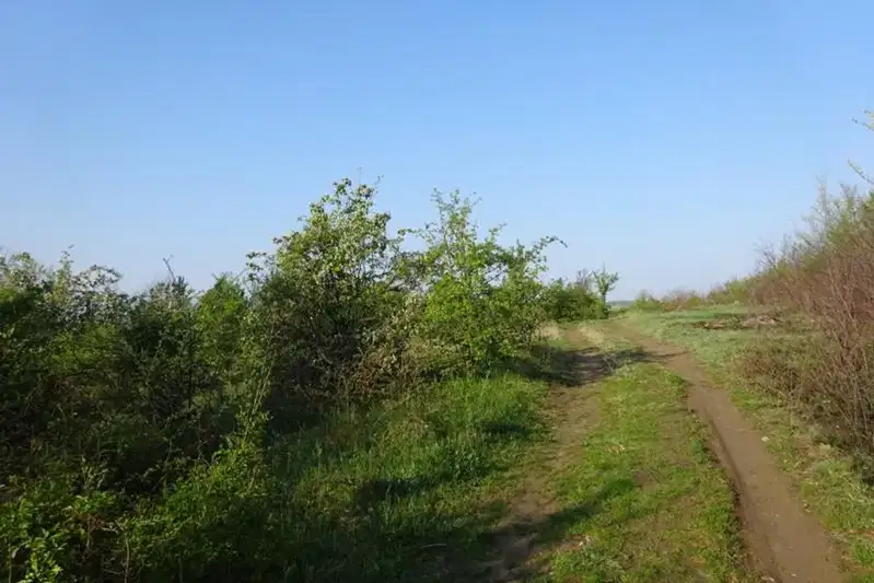 Парцел във Велико Търново, Бузлуджа