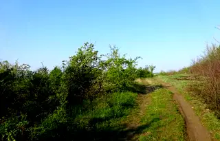 Парцел във Велико Търново, Бузлуджа