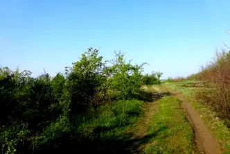 Парцел във Велико Търново, Бузлуджа
