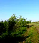 Парцел във Велико Търново, Бузлуджа