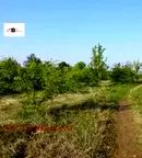 Парцел във Велико Търново, Бузлуджа