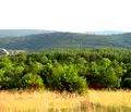 Снимка 3 — Парцел във Велико Търново, Бузлуджа