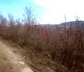 Снимка 2 — Парцел във Велико Търново, Бузлуджа