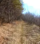 Парцел във Велико Търново, Бузлуджа