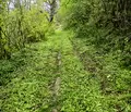 Снимка 5 — Парцел във Велико Търново, Бузлуджа