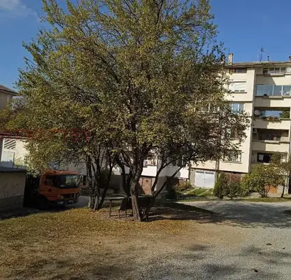 Снимка 2 — Парцел във Велико Търново, Бузлуджа