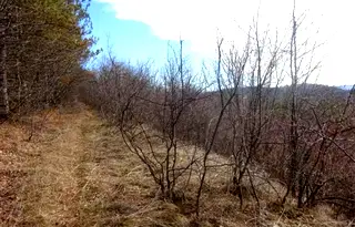 Парцел във Велико Търново, Бузлуджа