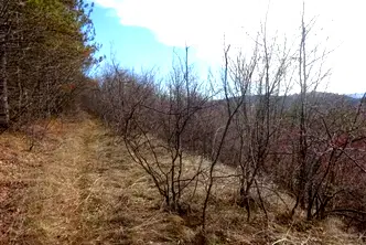 Парцел във Велико Търново, Бузлуджа