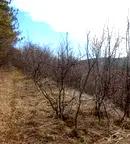 Парцел във Велико Търново, Бузлуджа