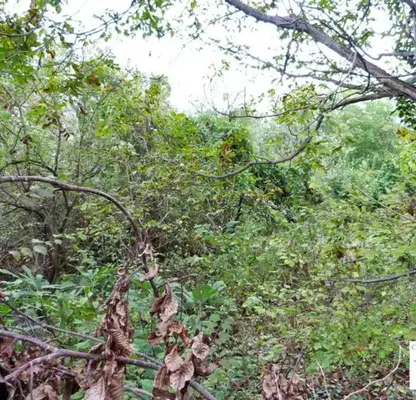 Photo 4 — Plot in Veliko Tyrnovo, Buzludja