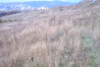 Парцел в Благоев, Бялата висота