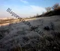 Снимка 3 — Парцел в Благоев, Бялата висота