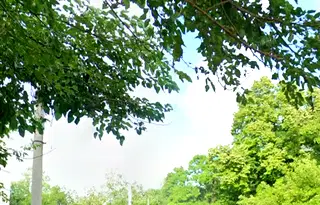 Парцел в Русе, Централен южен район