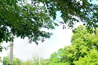 Парцел в Русе, Централен южен район