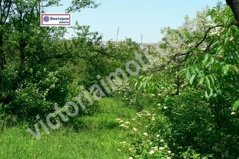 Парцел във Велико Търново, Център