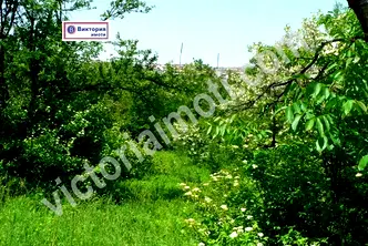 Парцел във Велико Търново, Център