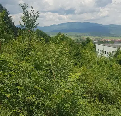 Снимка 4 — Парцел в Кюстендил, Център