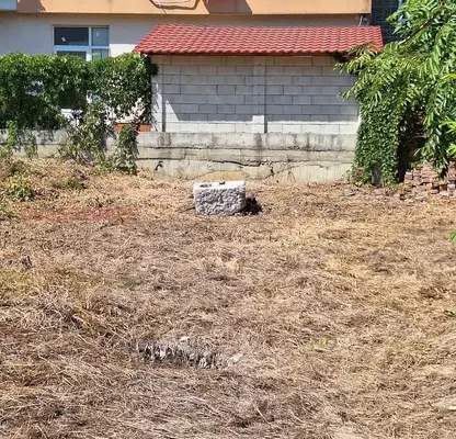 Photo 3 — Plot in Silistra, Centyr